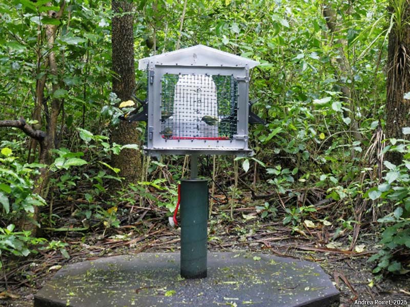 nourrissage - photo Andréa Poiret