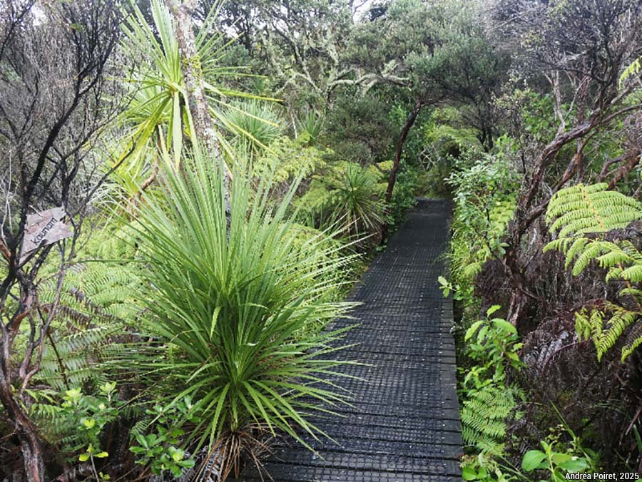 sentiers aménagés - photo Andréa Poiret