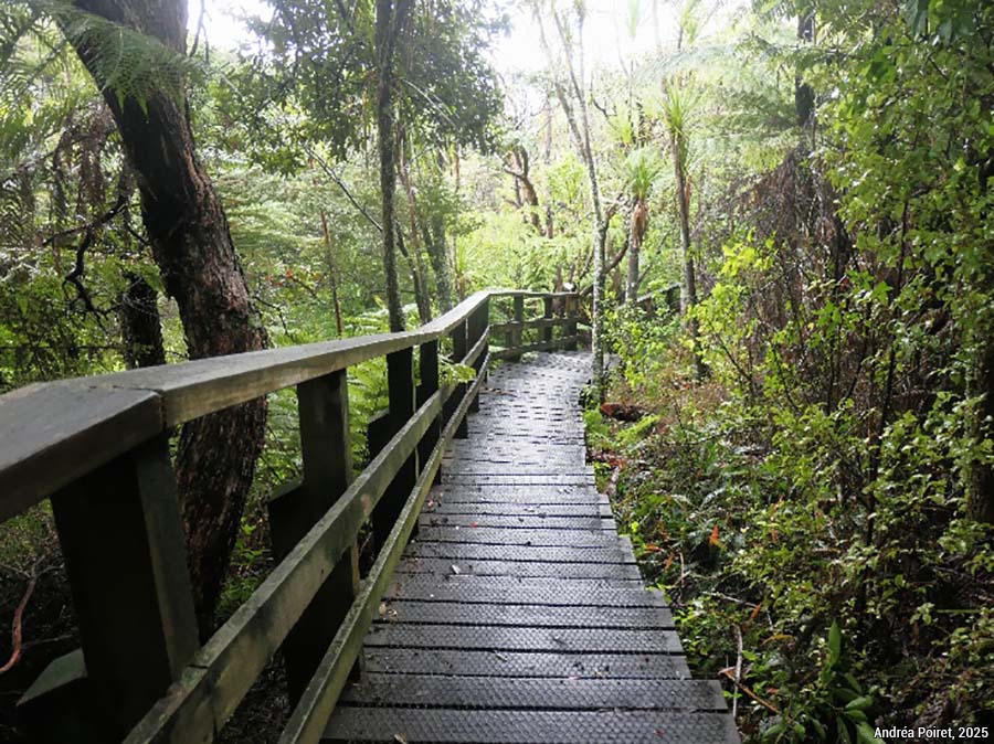 sentiers aménagés - photo Andréa Poiret