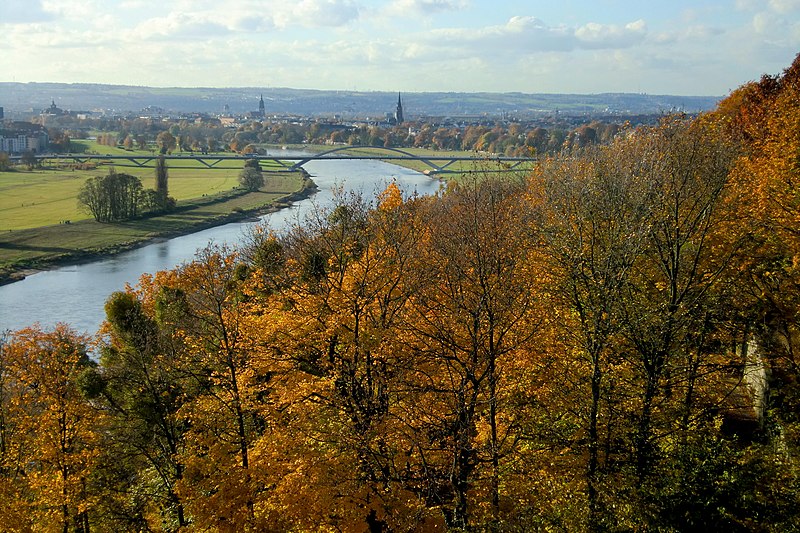 Vallée de l'Elbe à Dresde