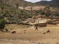 Agriculture, élevage et travail manuel dans le Tigray oriental (Éthiopie)