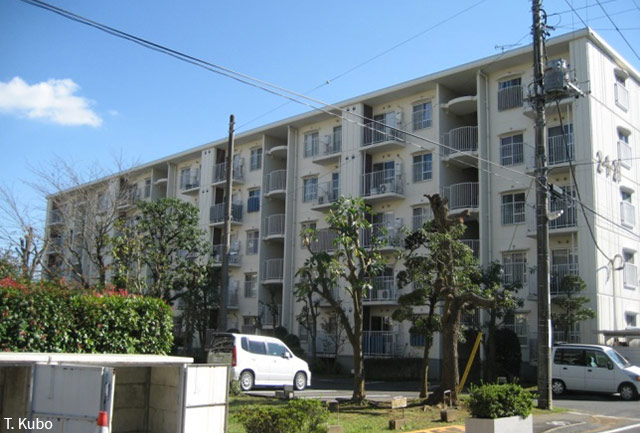 Tomoko Kubo – Condominiums built by JHC 