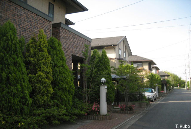 Quartier résidentiel de luxe avec maisons individuelles dans la ville nouvelle de Narita, dans le département de Chiba (Japon)