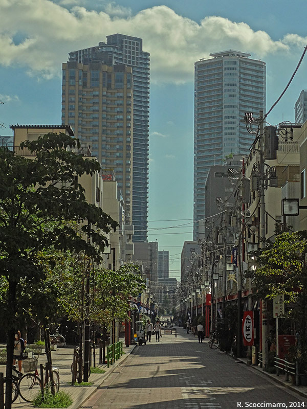 Rue commerçante de Nishi-nakadori et tours résidentielles (Japon)