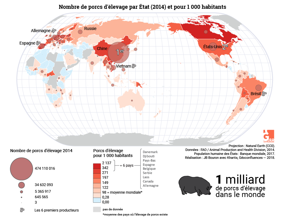 Planisphère élevage porcin (suidés, cochons) dans le monde. World map of pork production (hog)