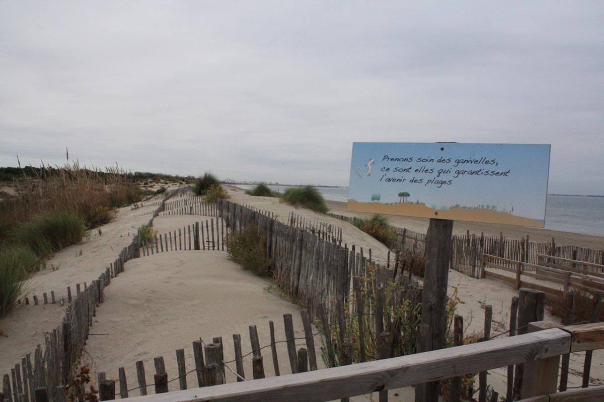 photo aménagement plage littoral sableux ganivelles