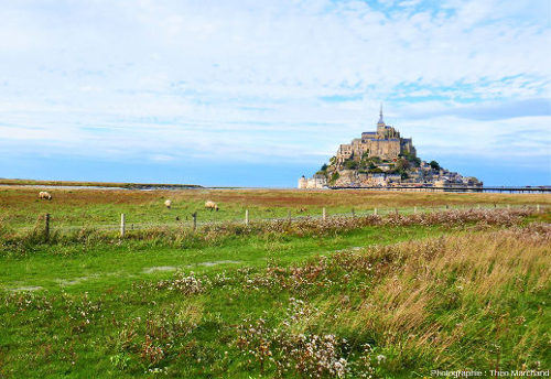 MSM sedimentation 01 br theo marchand