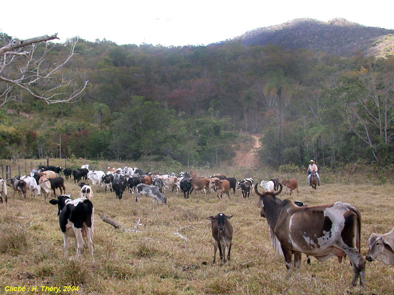 Messias Lopes de Mello à Campinaçu (Brésil)