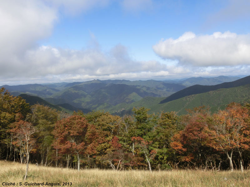 Sommet de Oboko sur le chemin Kohechi (Japon)