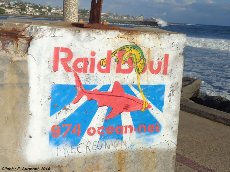 Art urbain sur le spot de surf de Saint-Pierre (La Réunion, février 2014)